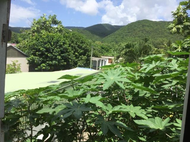 Habitation Baliache - Maison créole avec jardin privatif, plage à 200m Deshaies Esterno foto
